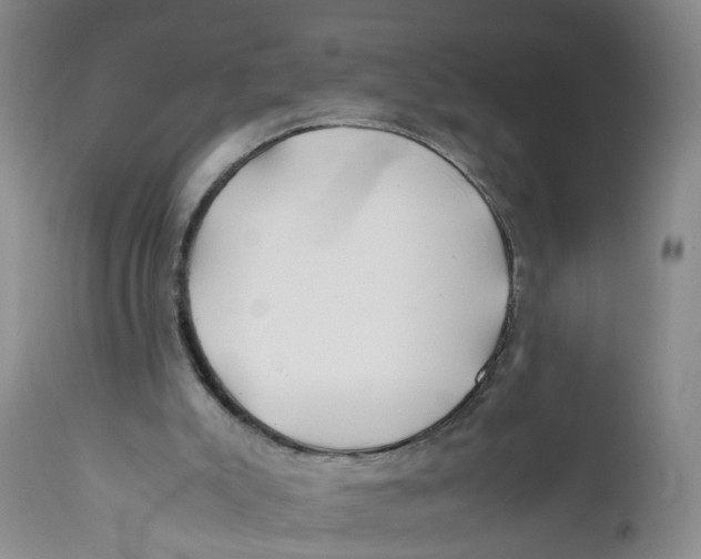 X0000112370007200909101332