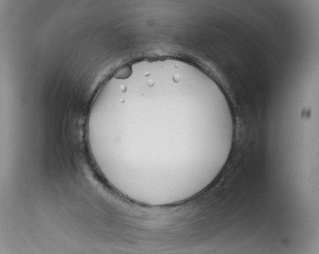 X0000112370010200909101332