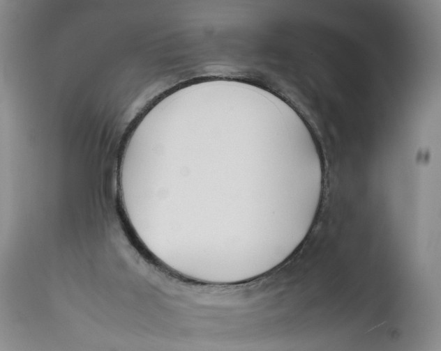 X0000112370011200909101332