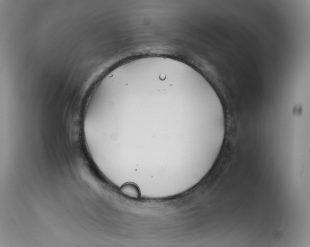X0000112370012200909101332