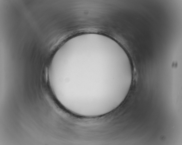X0000112370013200909101332