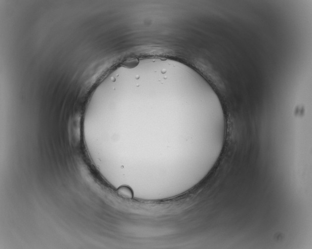 X0000112370014200909101332