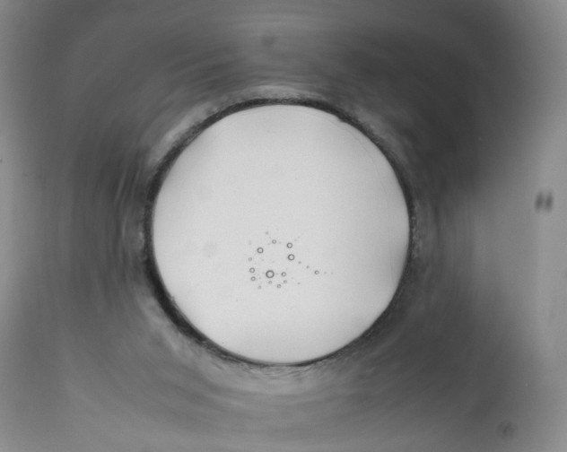 X0000112370015200909101332