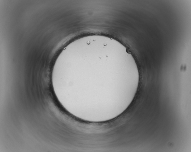 X0000112370016200909101332