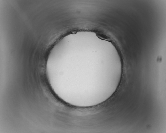 X0000112370017200909101332