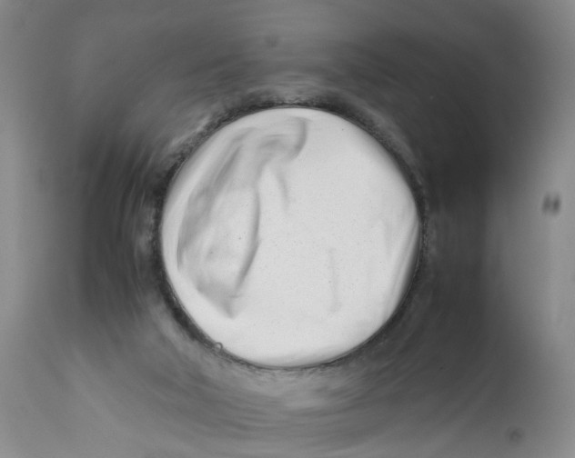 X0000112370018200909101332