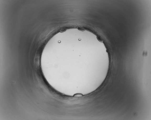 X0000112370021200909101332