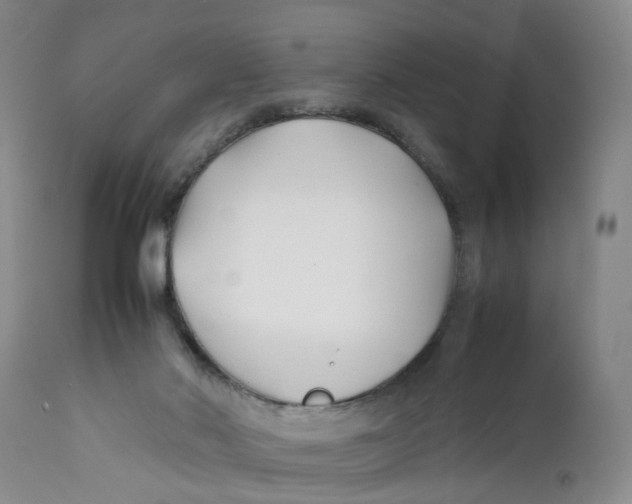 X0000112370022200909101332