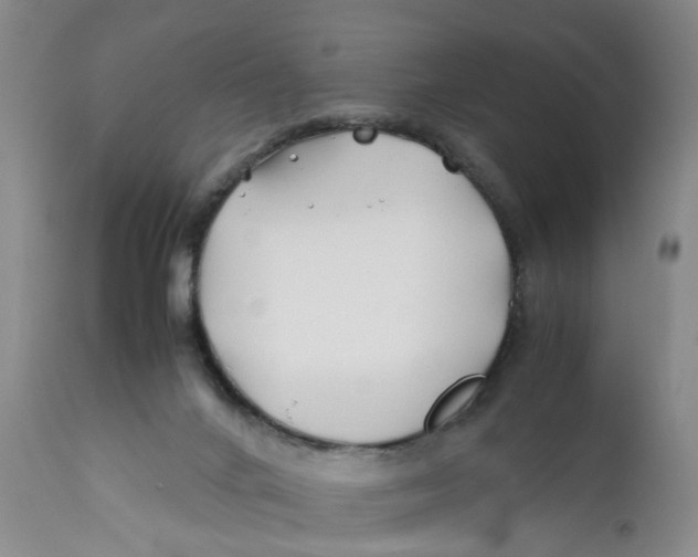 X0000112370024200909101332