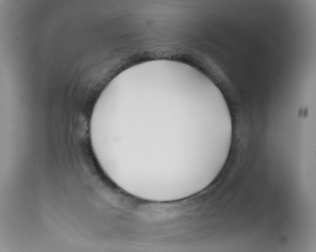 X0000112370025200909101332