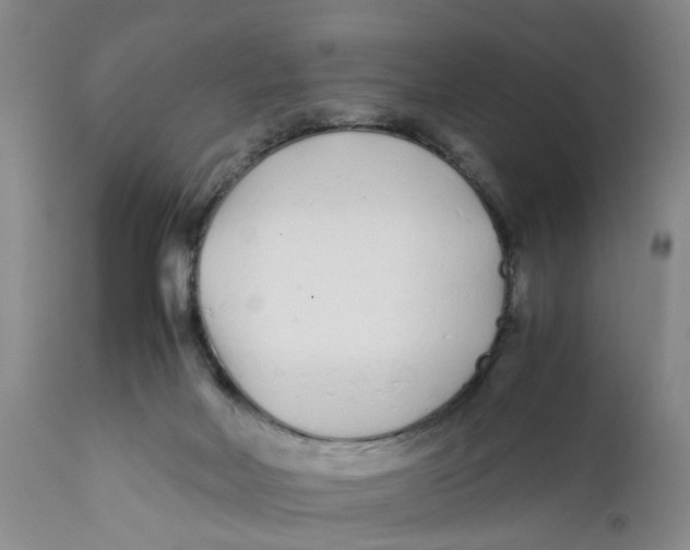 X0000112370026200909101332