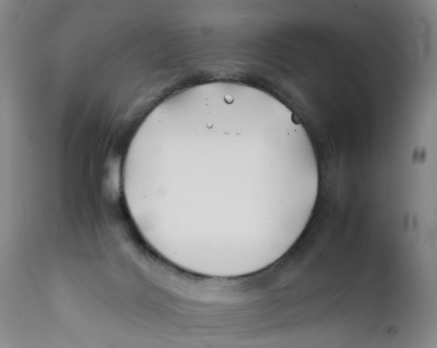 X0000112370028200909101332