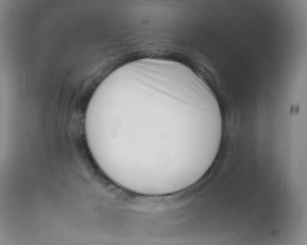 X0000112370029200909101332