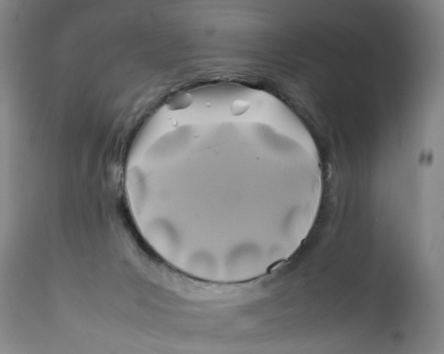 X0000112370031200909101332