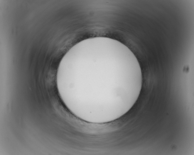X0000112370034200909101332