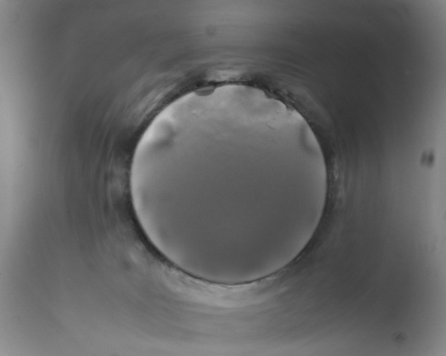 X0000112370035200909101332