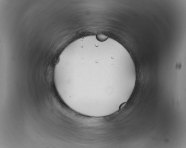 X0000112370036200909101332