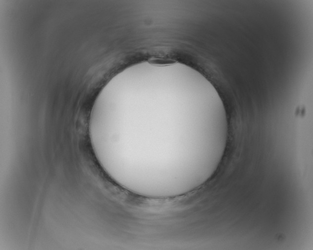 X0000112370037200909101332