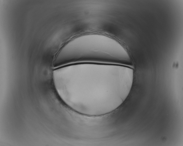 X0000112370039200909101332