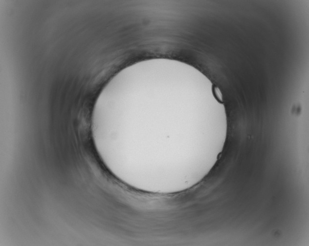 X0000112370040200909101332