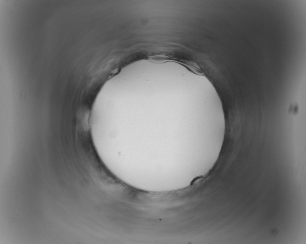 X0000112370041200909101332