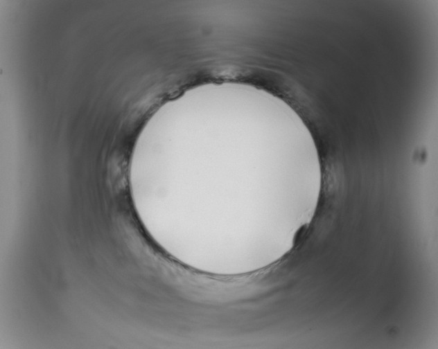 X0000112370043200909101332