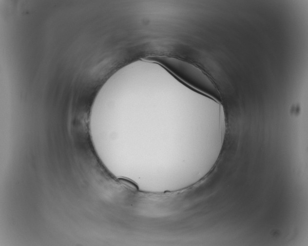 X0000112370045200909101332