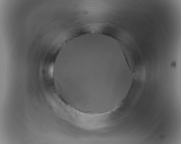 X0000112370047200909101332