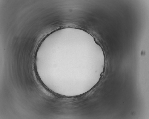 X0000112370049200909101331