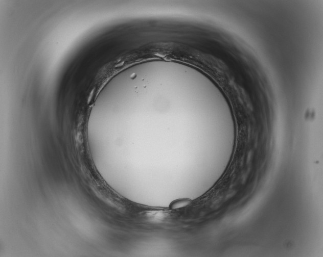 X0000112370050200909101331