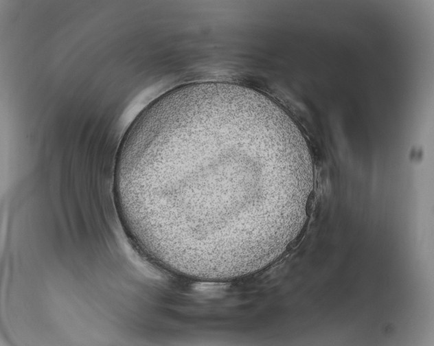 X0000112370051200909101331