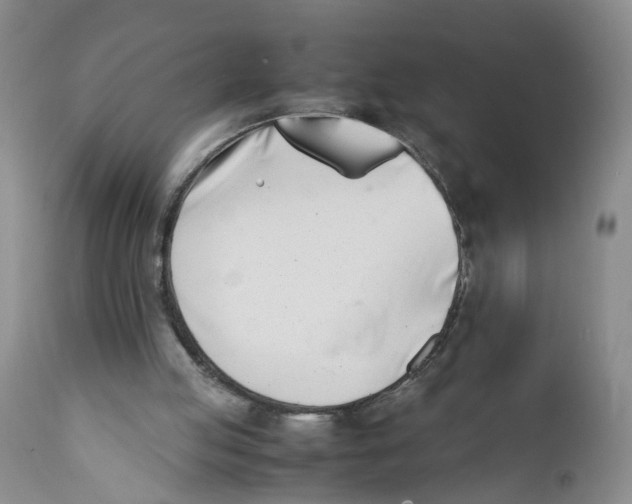 X0000112370053200909101331