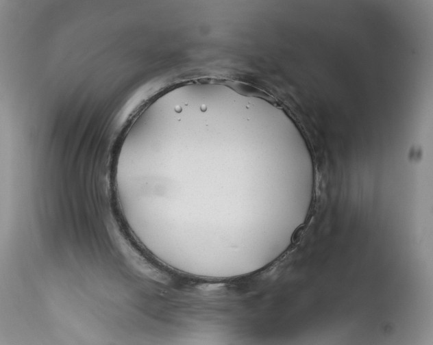 X0000112370054200909101331