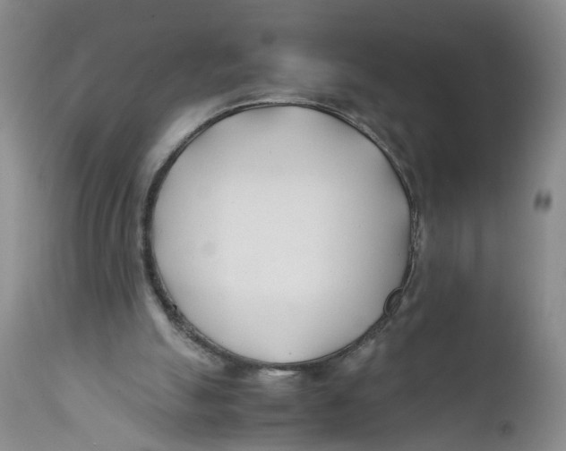 X0000112370055200909101331