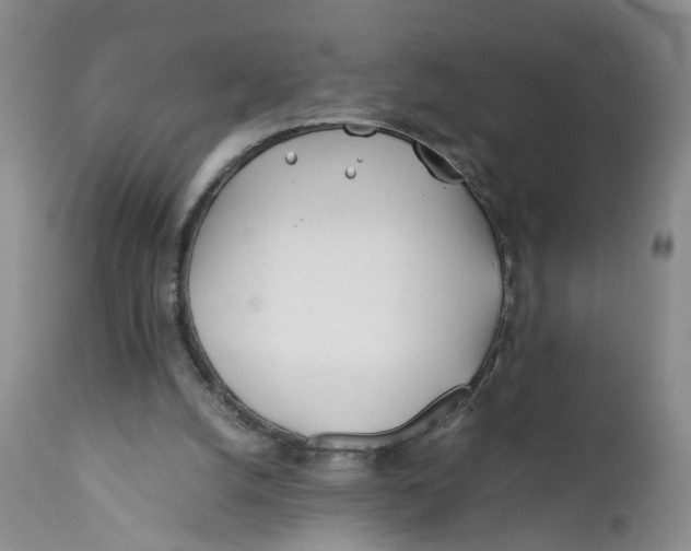 X0000112370056200909101331