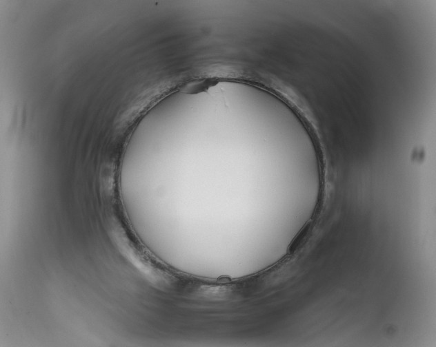 X0000112370057200909101331