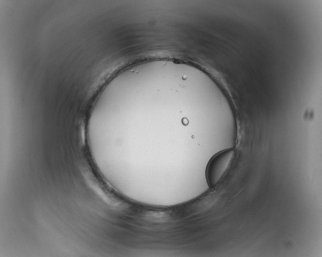 X0000112370061200909101331