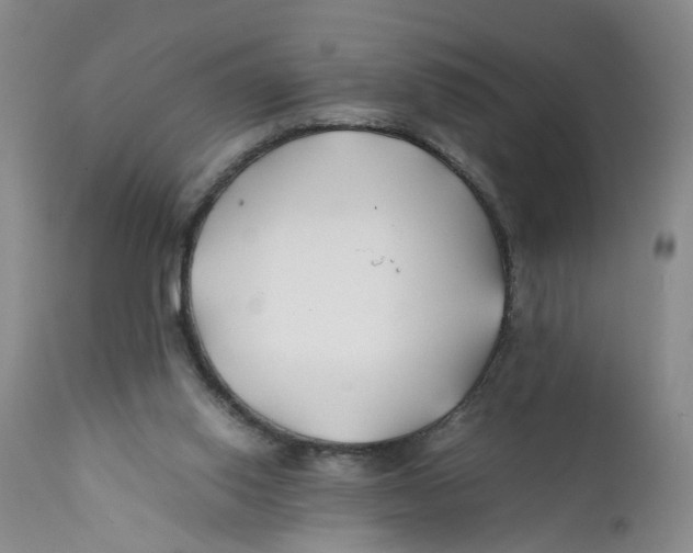 X0000112370062200909101331