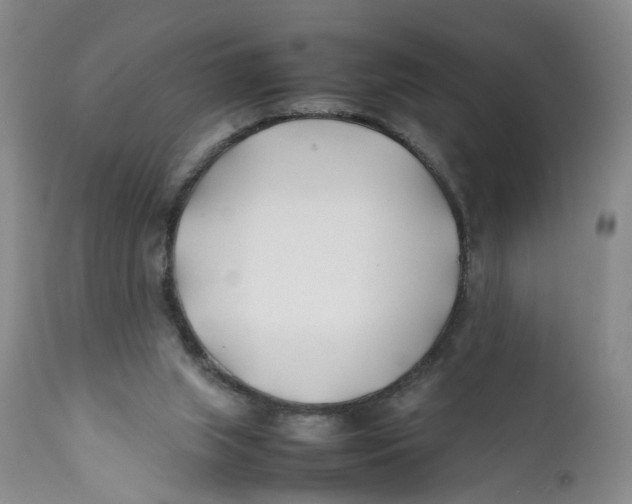 X0000112370063200909101331