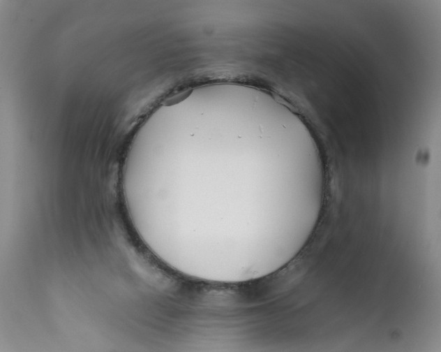 X0000112370066200909101331