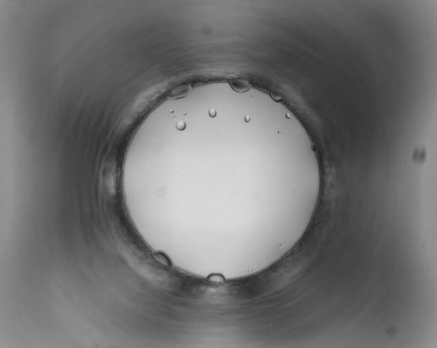 X0000112370068200909101331