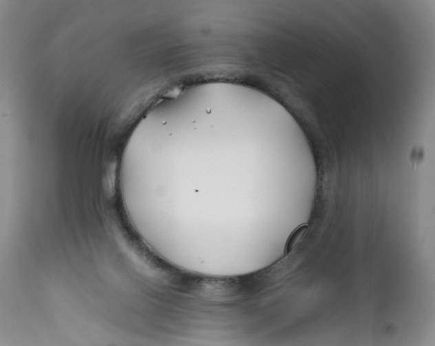 X0000112370070200909101331