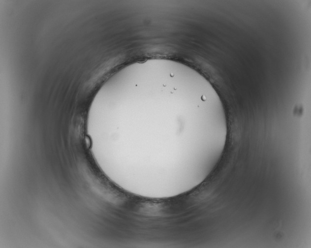 X0000112370071200909101331