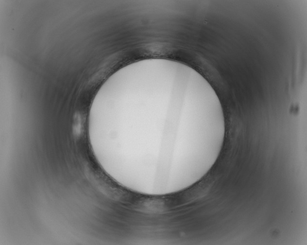 X0000112370075200909101331