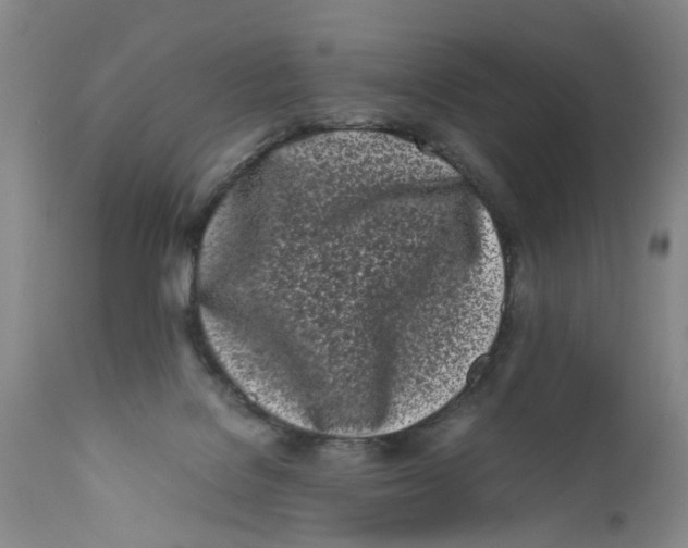 X0000112370076200909101331