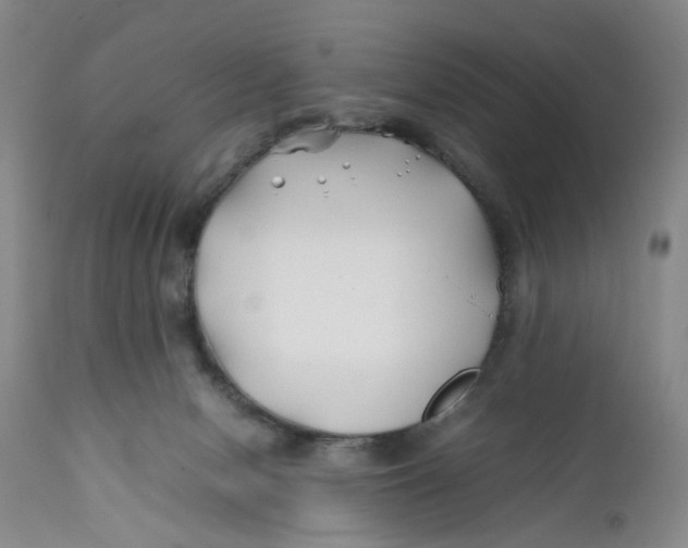 X0000112370078200909101331