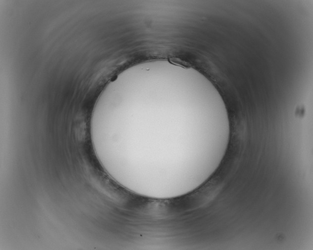 X0000112370080200909101332