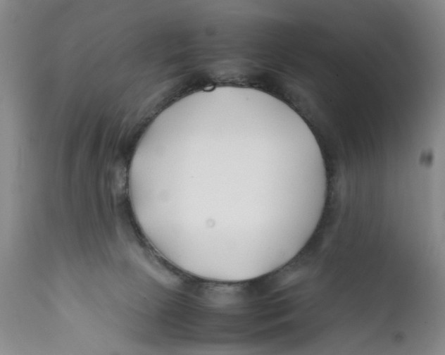 X0000112370081200909101332
