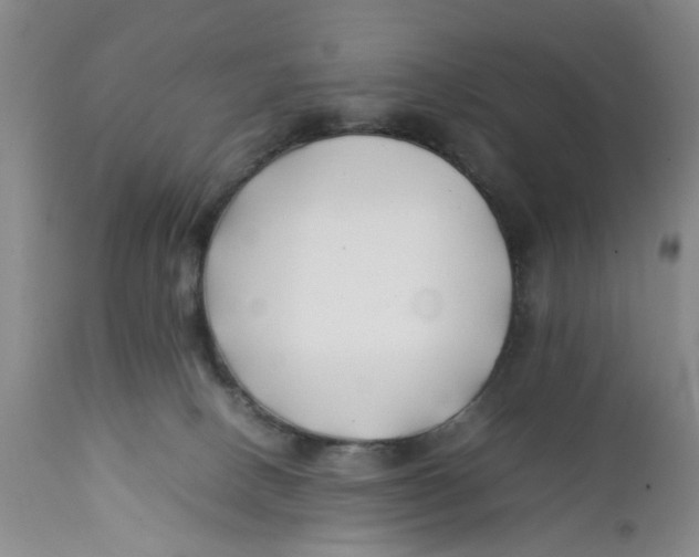 X0000112370082200909101332