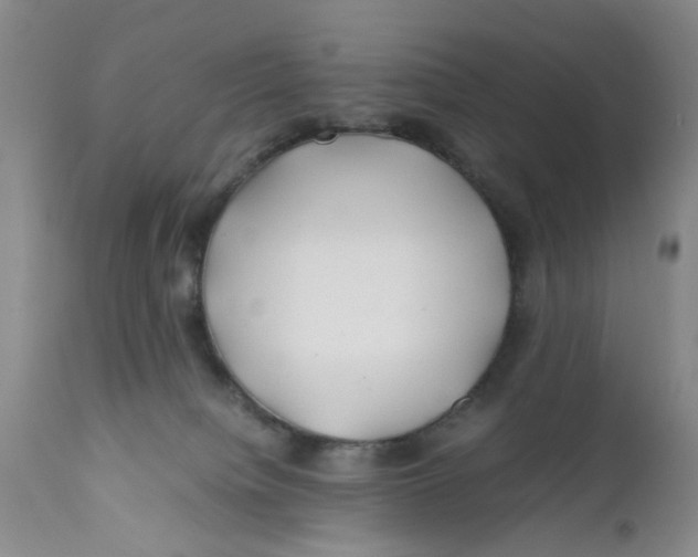 X0000112370084200909101332